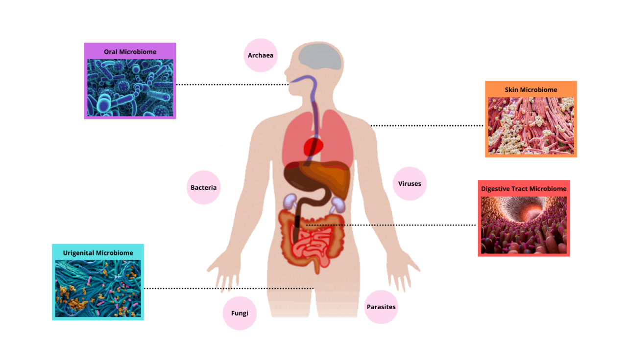 MICROBIOME | Eden Clinic